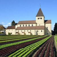 Kirche St. Georg mit Salatfeld