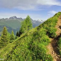 Ein zarter Wind streicht über die Kuppe, richtig angenehm...