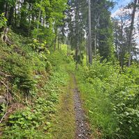 Schöner Uphill-Single