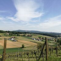 Ausblick auf den Stradner Kogel entlang der Tatschkerlandtour
