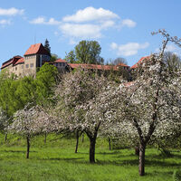 Burg Creuzburg im Frühling