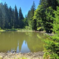 Knöpfelstaler Teich