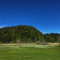 La Combe de Léchaud