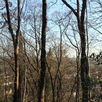 Die Abfahrt nach Faedis