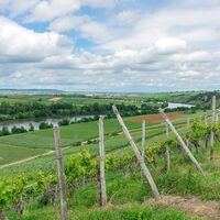 DSGVO NT Neckarwestheim Blick auf Neckar 2 WEB