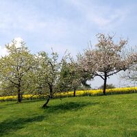 NaturRoute Westkilver-Rödinghausen