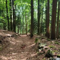 Abstieg auf gleicher Route