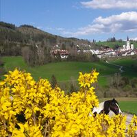 Blick zur Basilika