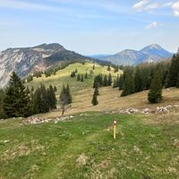 Herrenalm Wiesen