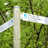 Natursteig Sieg Etappe 05