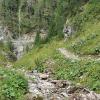 Trail