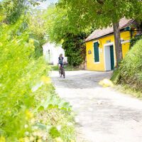 unterwegs in der Kellergasse Fels am Wagram