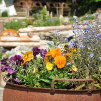 Hildegard von Bingen Garten