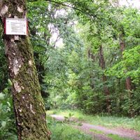 Wanderweg 25 Abstecherweg zum ehemaligen Tagebau Haverlahwiese
