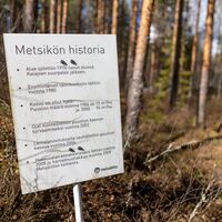 Geschichte der Waldbewirtschaftung