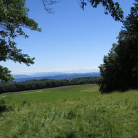 Sonnige Wiesenabschnitte unterwegs