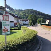 Spaziergang "Wildgehege" in Zell im Wiesental