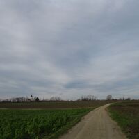 Fels - Absdorf