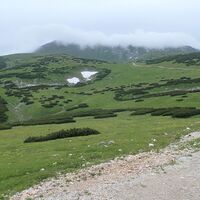 Blick zurück nach oben zum Klosterwappen
