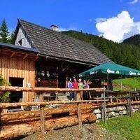 Zeiringeralm entlang der Johnsbacher Almenrunde I Gesäuse I Steiermark