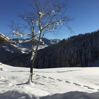 Schneeschuhwanderung am Reither Kogel