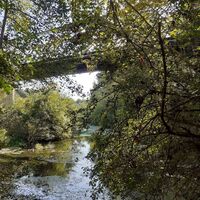 Orb unter der Brücke von Tabarka, Foto: Myriam Roussel