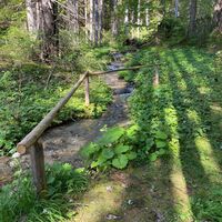 Kneippmöglichkeit Wassertretten