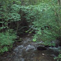 Naturlehrpfad Reifnitz