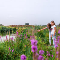 Gütersloh - die renaturierte Dalke