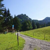 Alpe-Reith