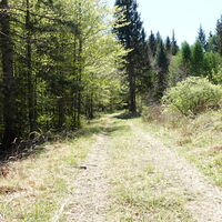 Übergang Georgskogel