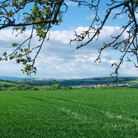 Ausblick am B4