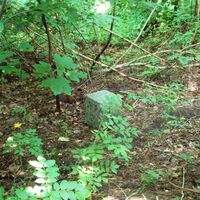 Salzgitter Höhenzug, Wanderwege 21 und 22 Adlershorst