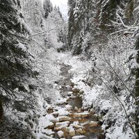 Scheffau_GlasklareBäche_Winterrunde_Trattenbach_Wilder Kaiser
