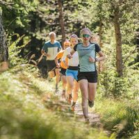 Trailrunning in der Region Seefeld - Gruppe auf Trail im Wald.jpg