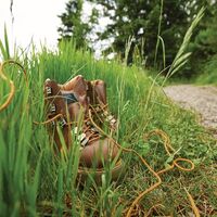 Wandern Schmuckbild TMBW  14