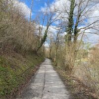 Auen-Trail - Steyr Unterhimmler Au