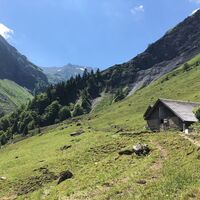 Auf der Tour können Wildtiere gesichtet und beobachtet werden