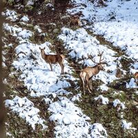 Winterwanderung im Tonbachtal