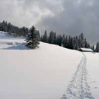Schneeschuhtrail Wolzenalp - Ebnat-Kappel