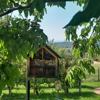 Versuchs- und Lehrgarten des Obst- und Gartenbauvereins Loffenau e.V.