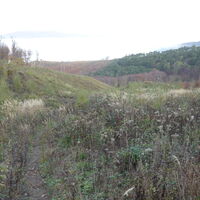 Abstieg am unmarkierten Steig