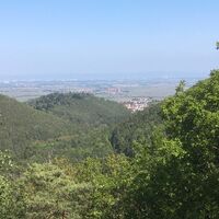 Blick vom Bräuninger Fels auf Wachenheim und die Rheinebene