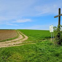 22.0 km Kreuz am Weg nach Niederhollabrunn