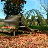 Weidenbau im Thermenpark Bad Blumau