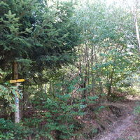 am Weg zum Seekopf