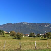 Ardosset