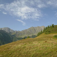 wir verlassen den Wald und blicken zum Bösenstein