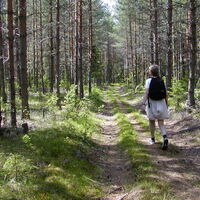 Katralammen Rundweg