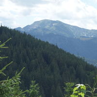Blick zum Dürrenstein